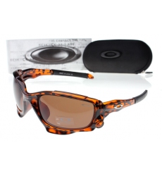 Oakley Glasses-0696
