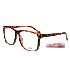 Ray-ban Glasses-1115